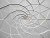 2 - Evoluzione, 2009