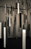 -linie - evolution3.jpg
