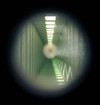 6 - Trip (2012)