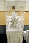 5 - Reflections, 2010