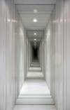 7 - Beyond, 2013